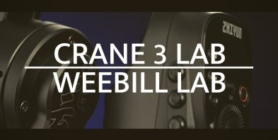 weebill and crane3